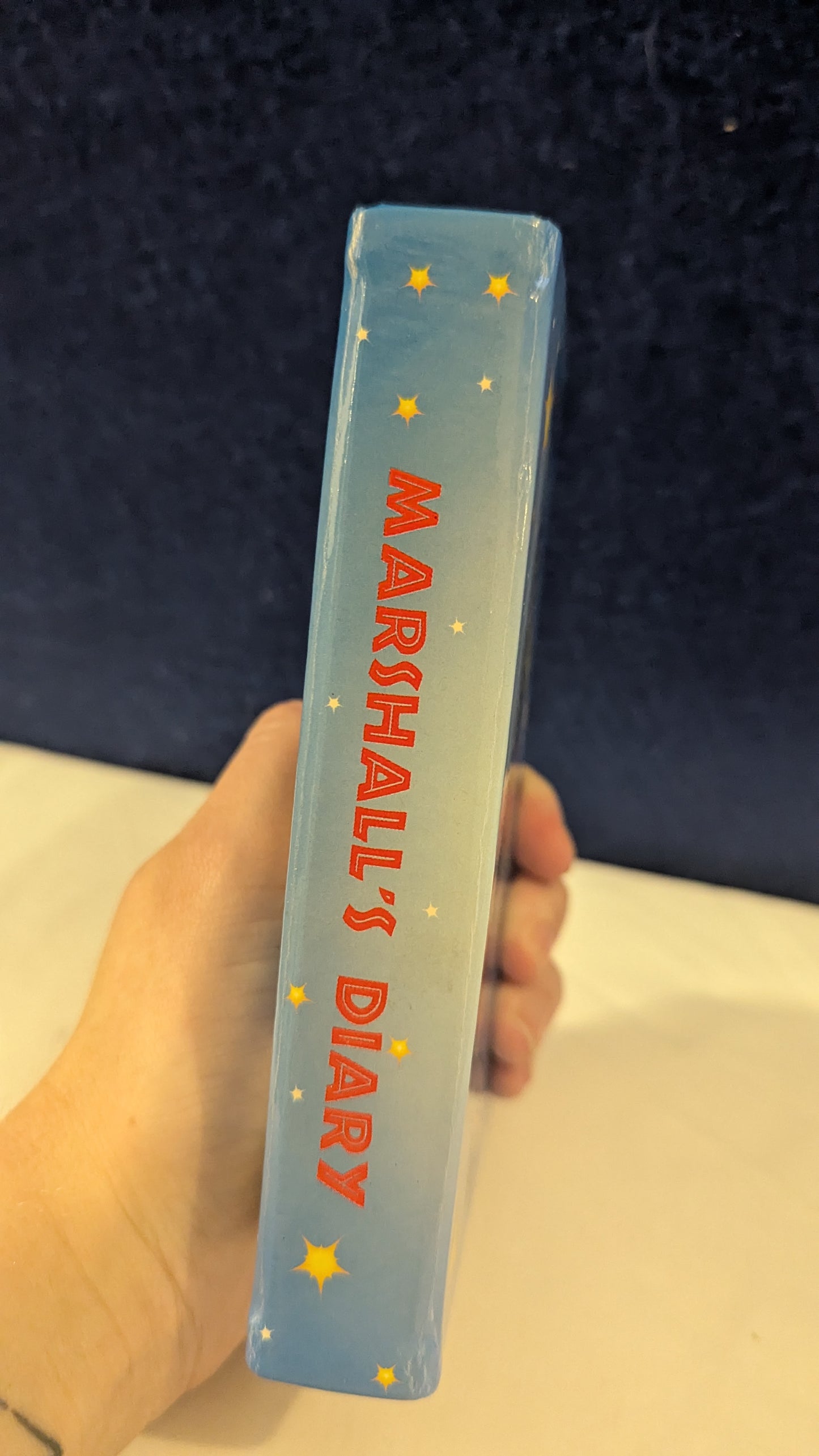 Vintage Pepsi Megabowl Organiser/Filofax c.1990