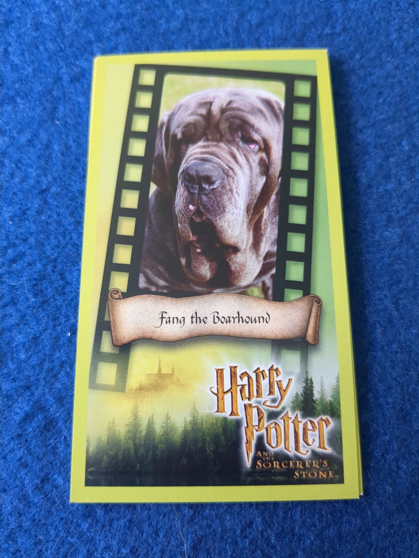 Wizards Harry Potter and the Sorcerer's Stone Trading Cards