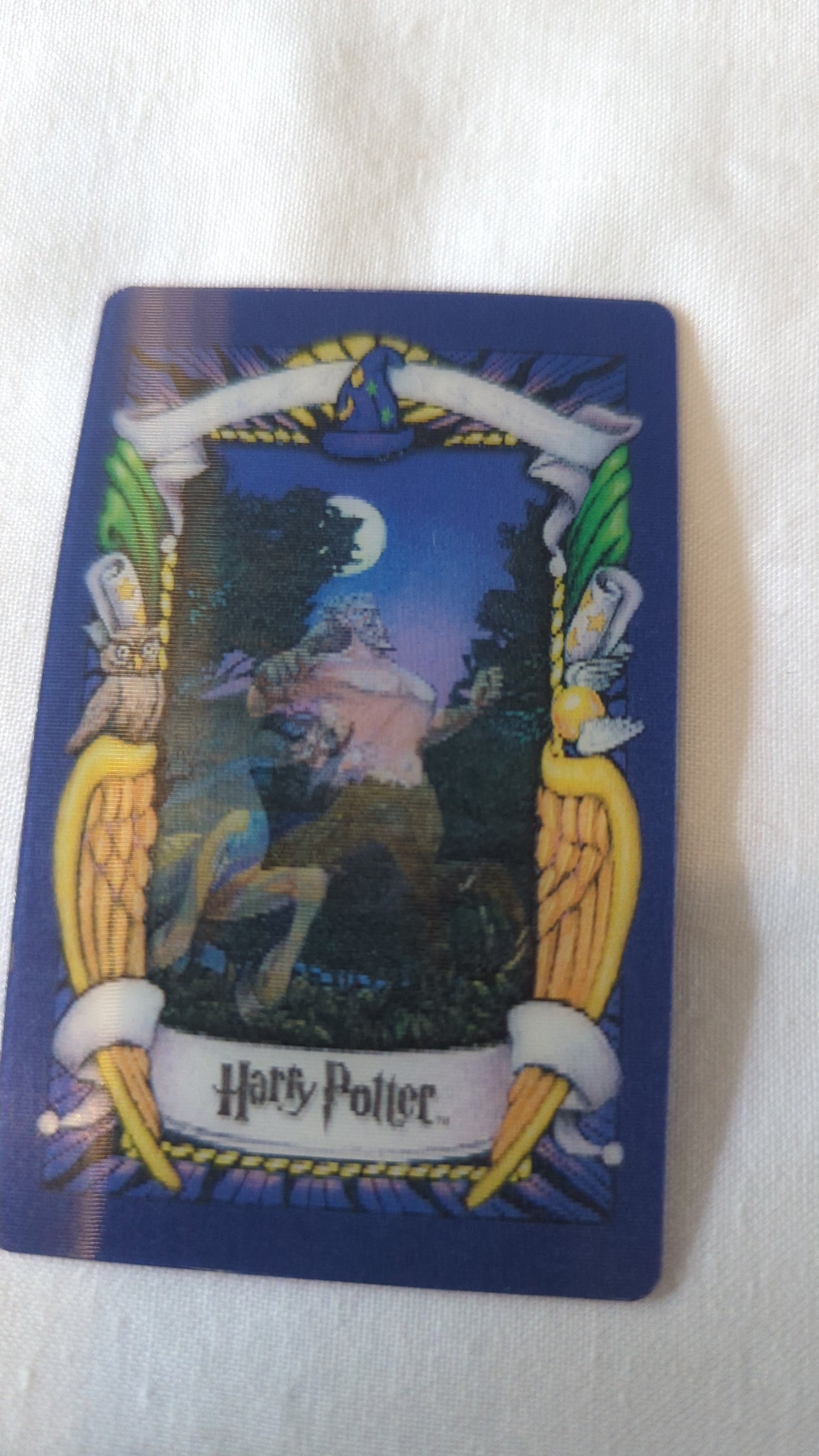 Harry Potter Chocolate Frog Cards
