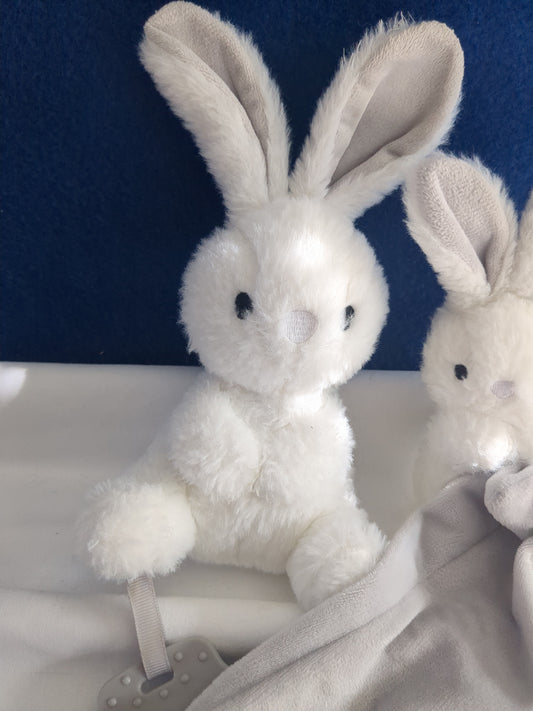 Lapin et doudou lapin