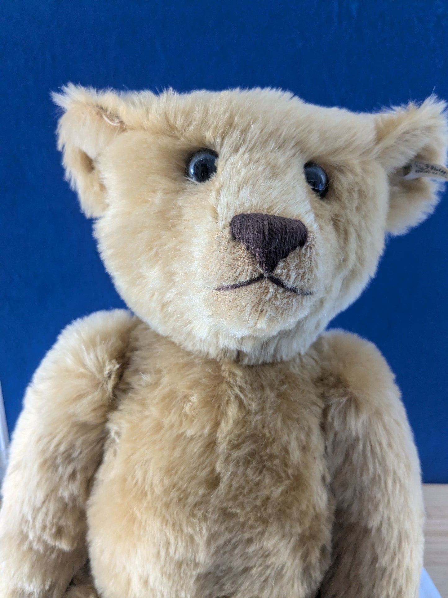 Steiff 1907 British Collectors Replica Teddy Bear Limited Edition