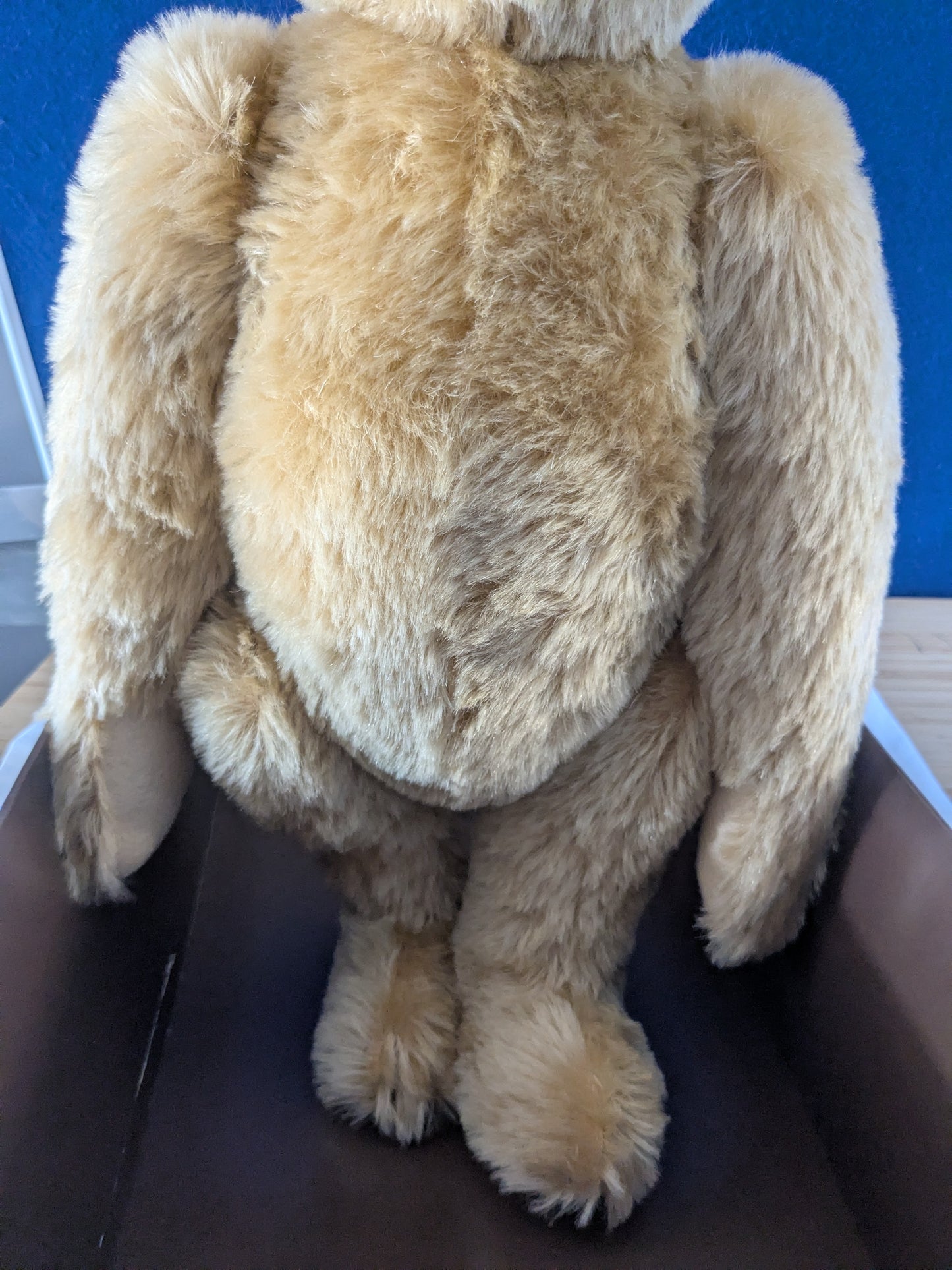 Steiff 1907 British Collectors Replica Teddy Bear Limited Edition