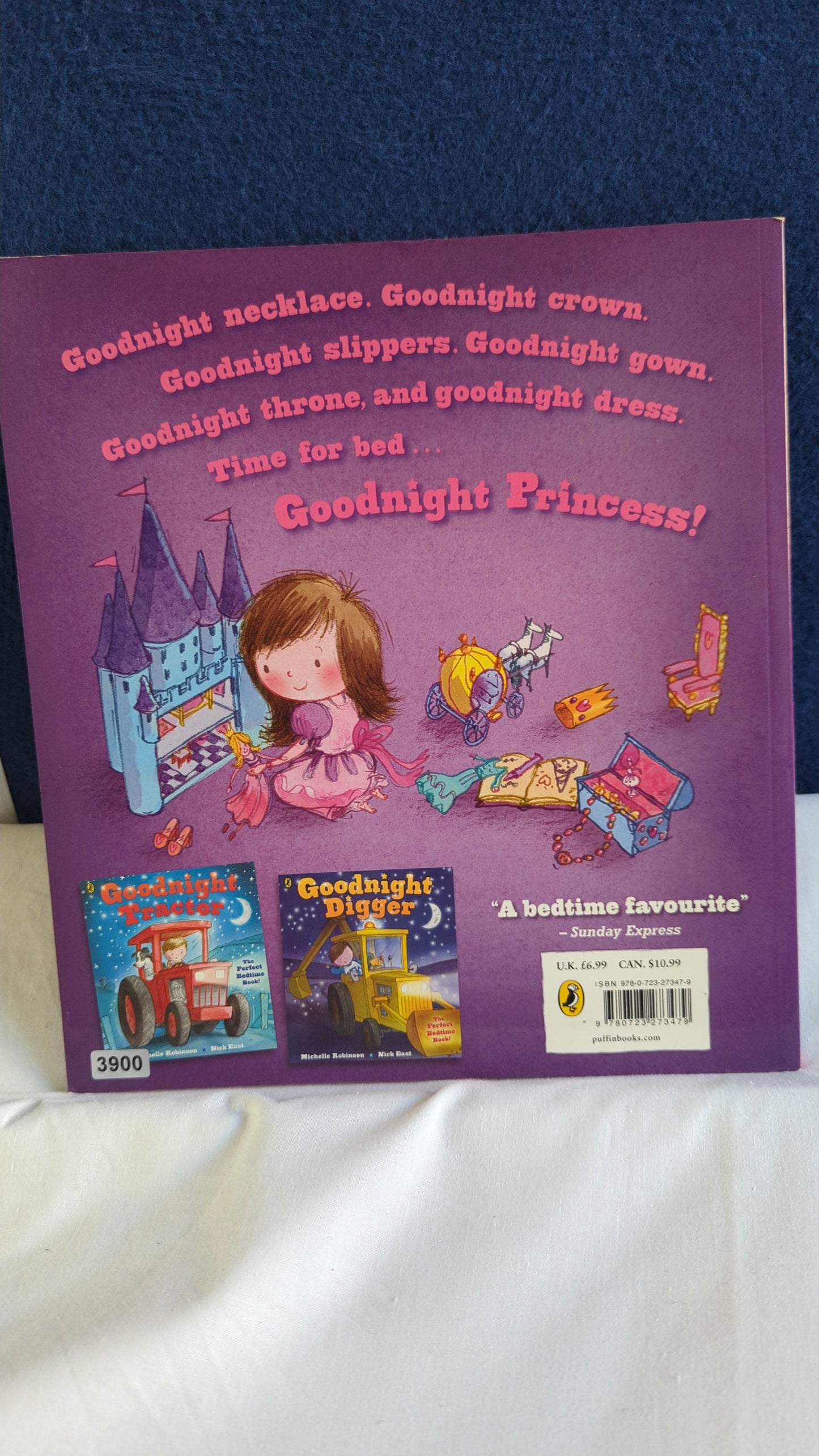 Gute Nacht, Prinzessin - Michelle Robinson