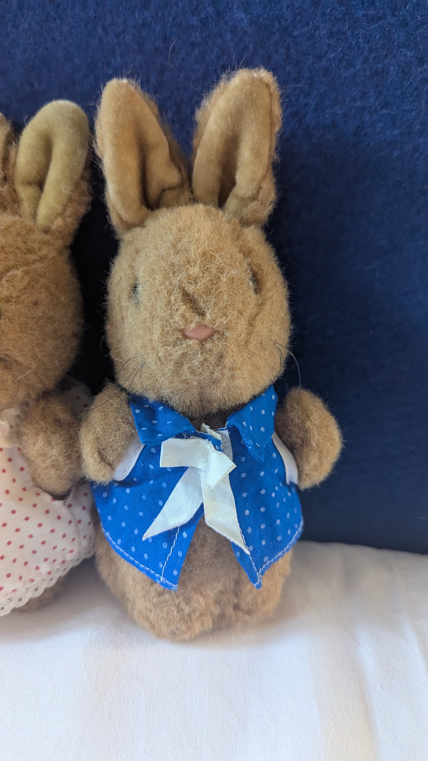 Royal Doulton Bunnykins by Golden 1985 Small Peter Rabbit Bundle