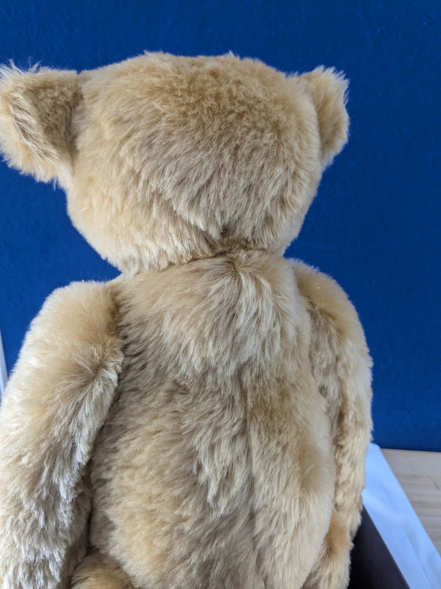 Steiff 1907 British Collectors Replica Teddy Bear Limited Edition