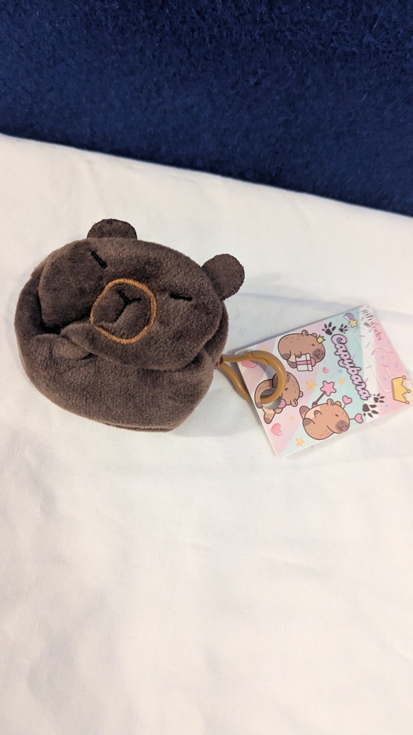 Small Capybara Zip up Purse/Wallet