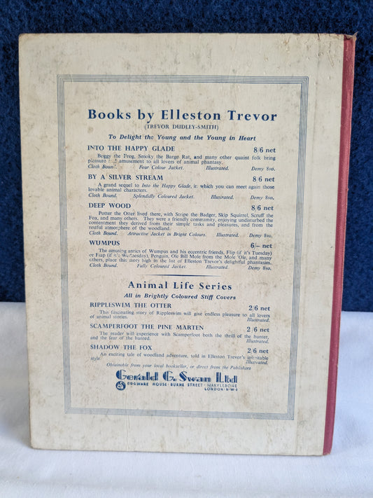 Raggedipup, Tony und der König der Kreuzworträtselinseln - William J Elliott