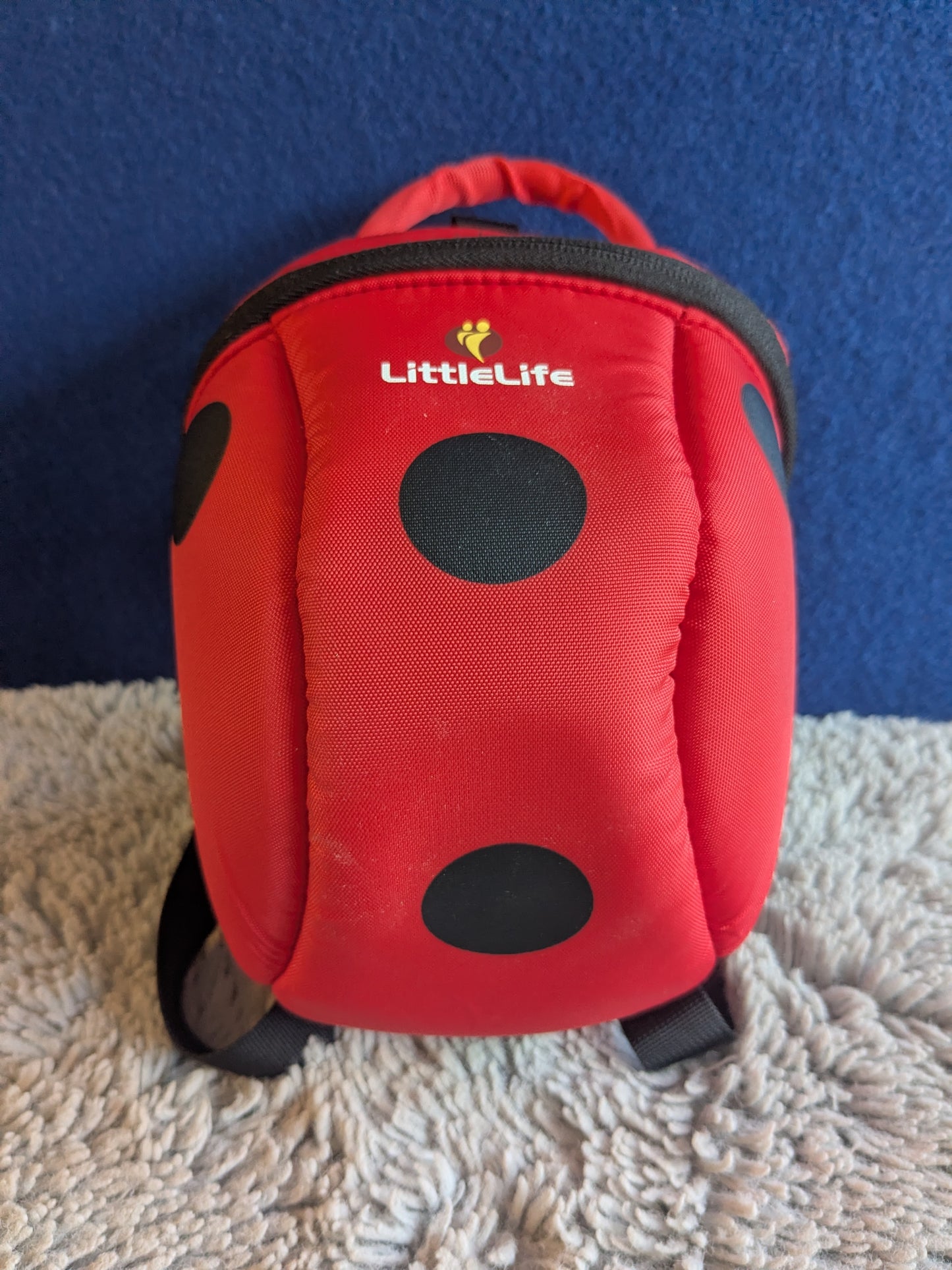 LittleLife Big Ladybird Kids Backpack
