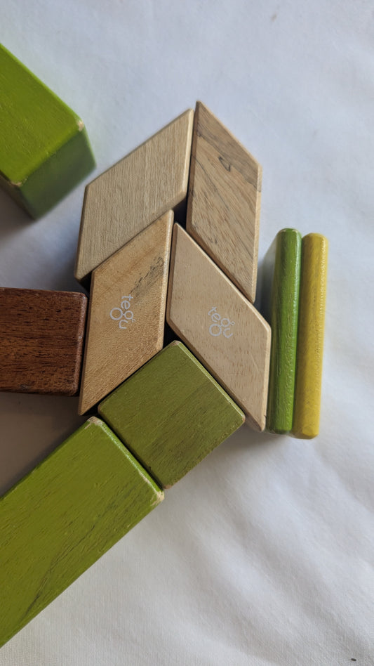 Tegu Educational Magnetic Wooden Blocks