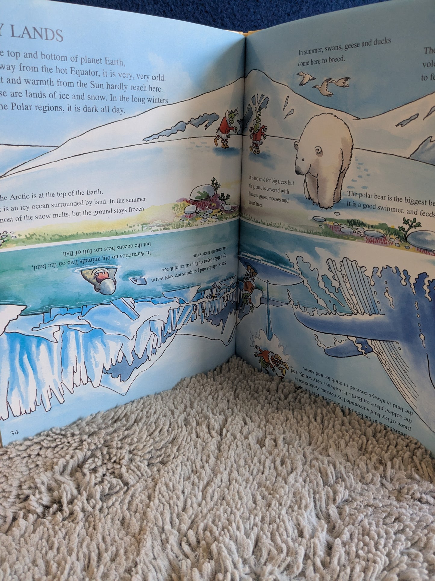 The BFC Young Book of Planet Earth - Randall Lancaster c.1995 First Edition