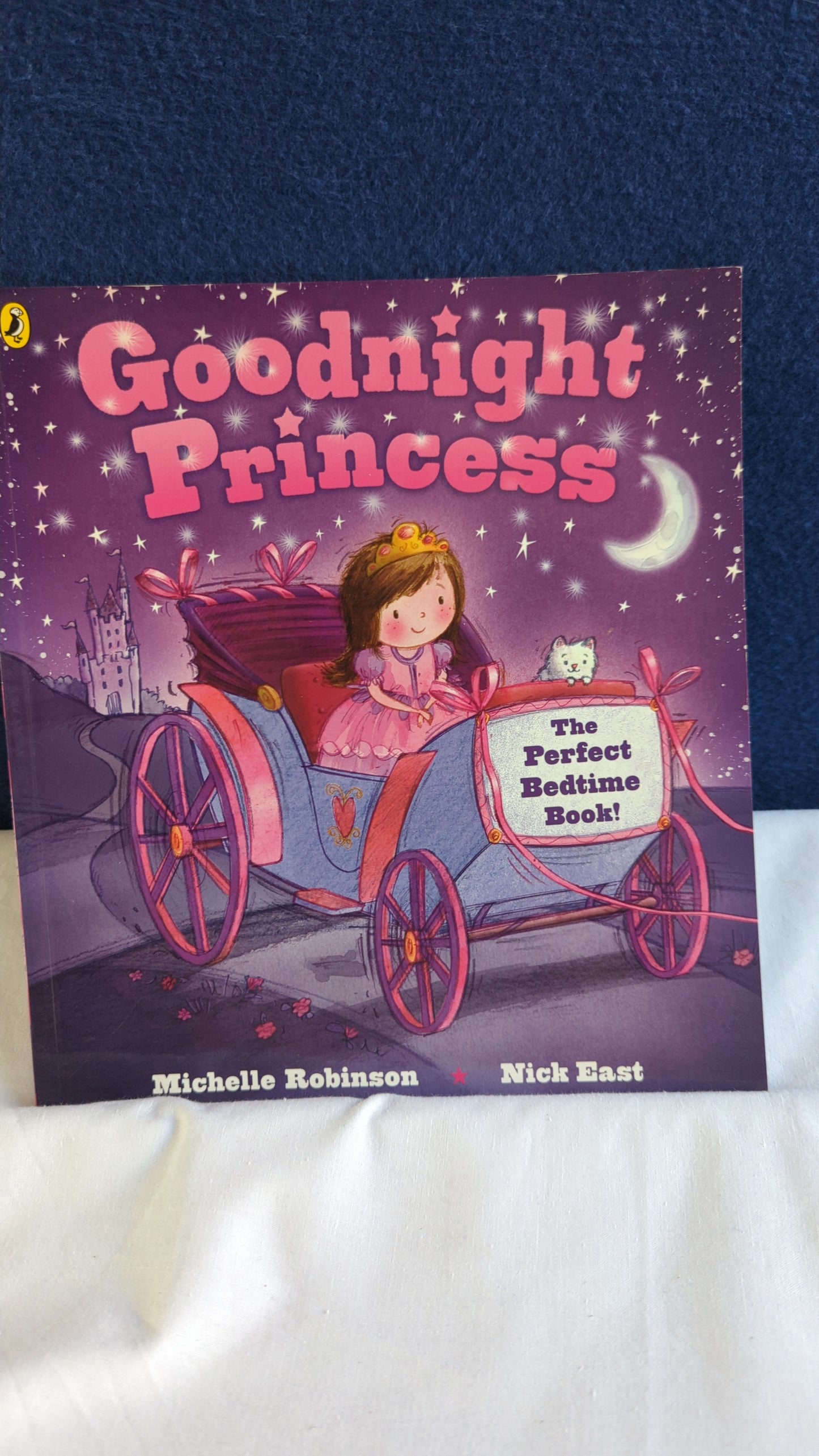 Gute Nacht, Prinzessin - Michelle Robinson