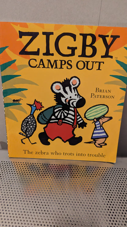 Zigby Camps Out Book