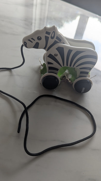 Push & Pull Zebra