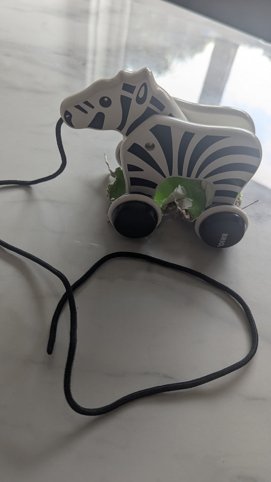 Push & Pull Zebra