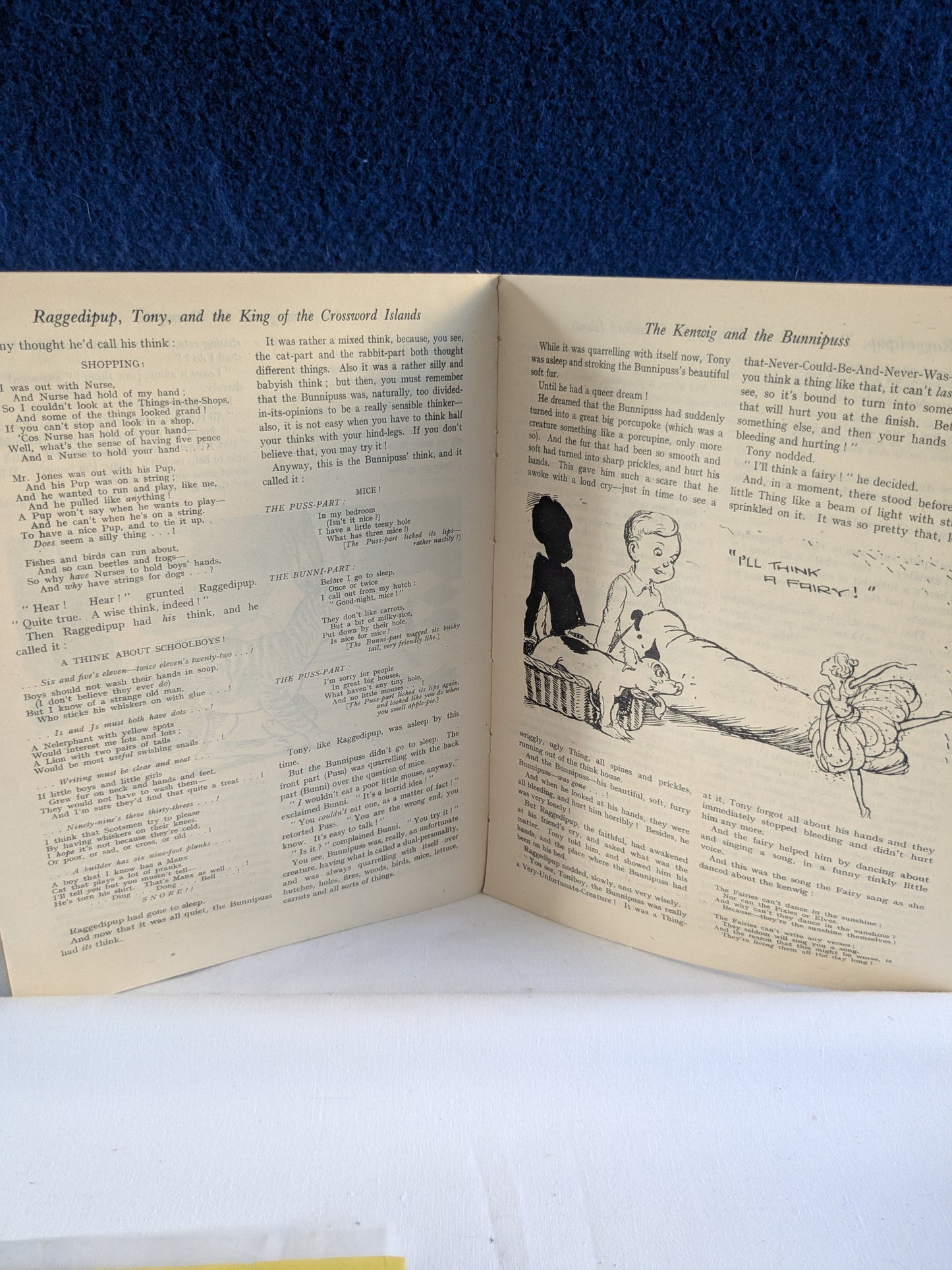 Raggedipup, Tony et le roi des îles de mots croisés - William J Elliott