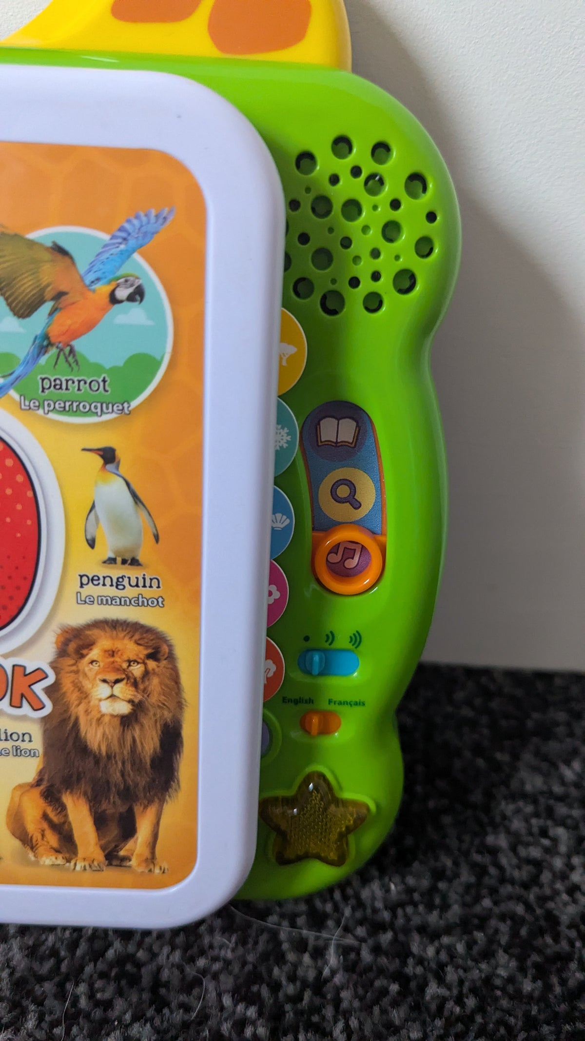 100 Animals Electronic Book