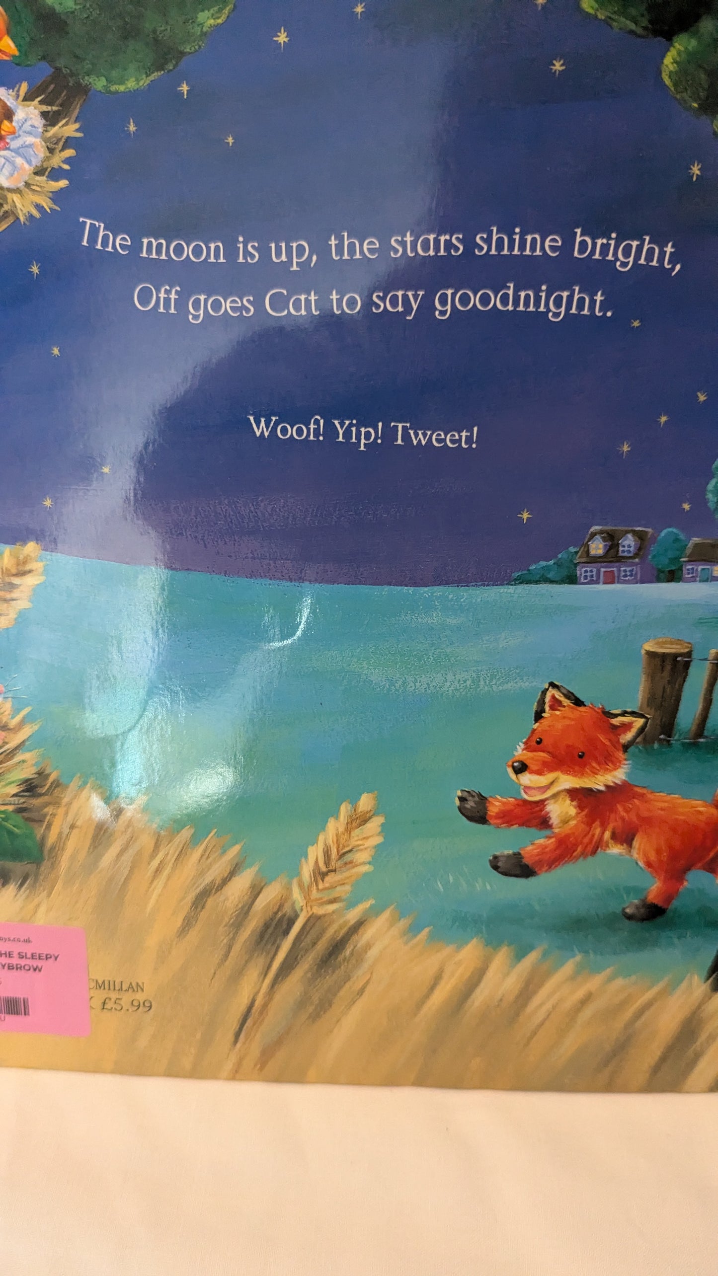 Say Goodnight to the Sleepy Animals - Ian Whybrow