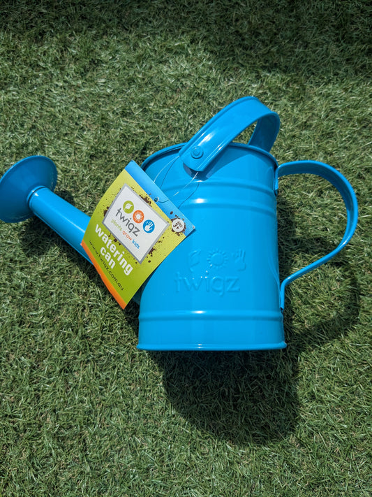 TW0806 Metal Kids Watering Can - Blue