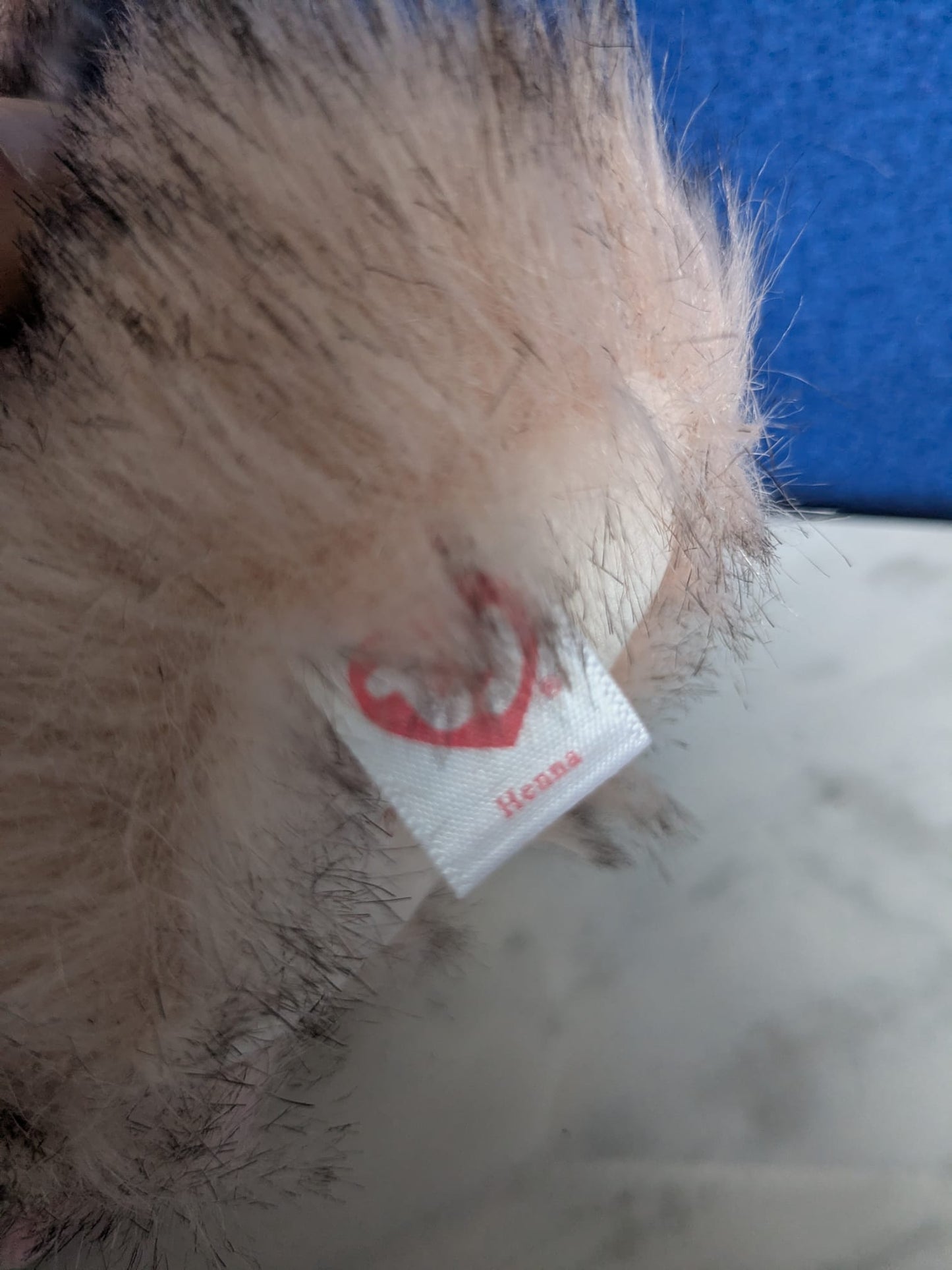 TY Beanie Boos Henna the Ostrich 8" Plush