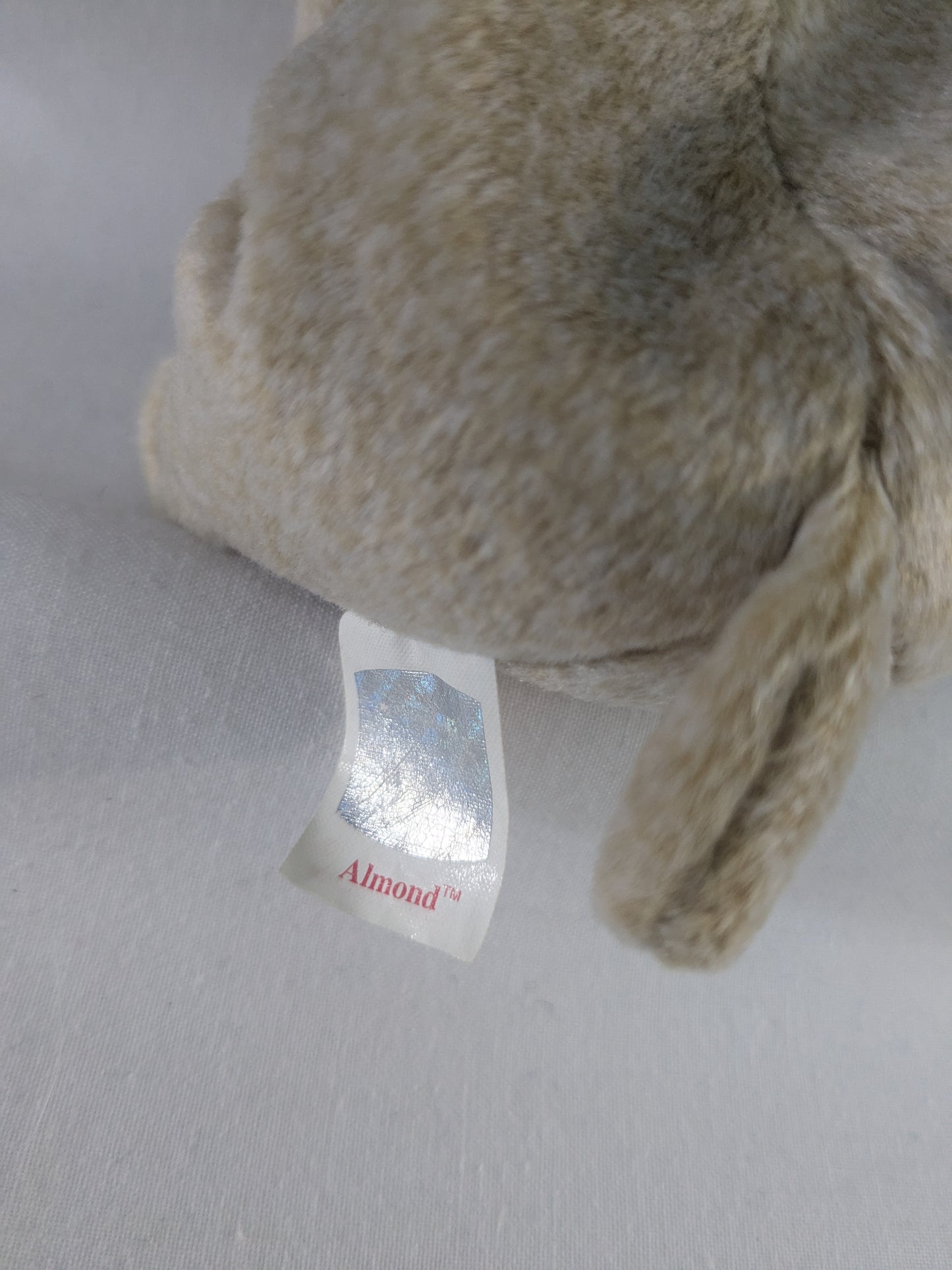 TY Beanie Baby 1999 Almond Bear