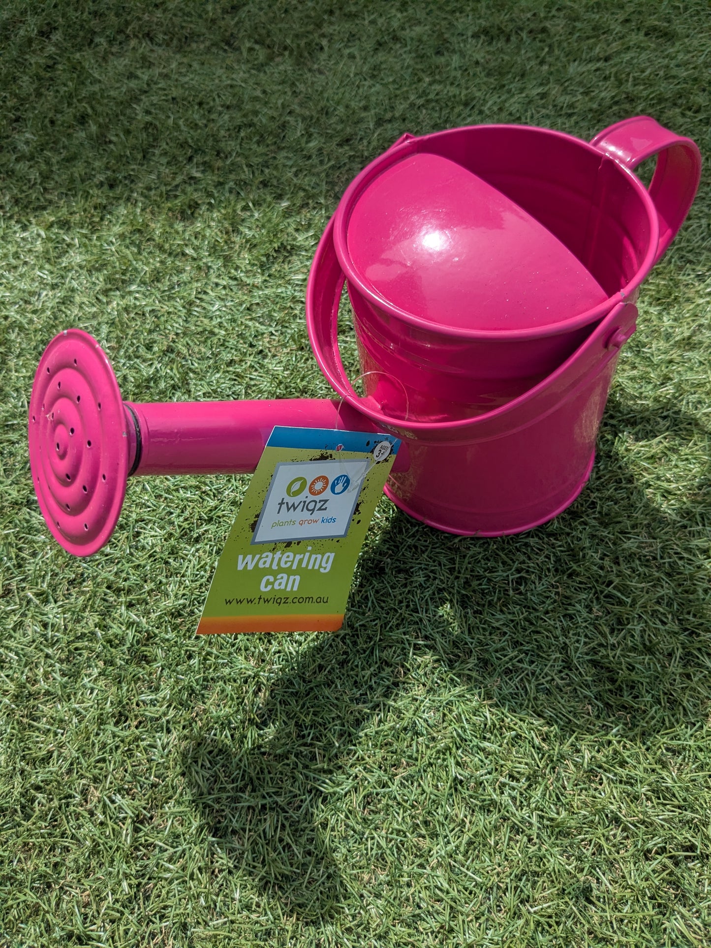 TW0828 Metal Kids Watering Can - Pink
