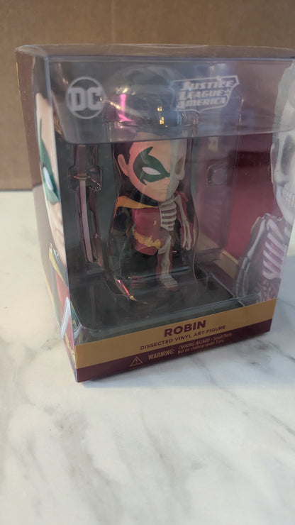 XXRay 21 DC Justice League America: Robin