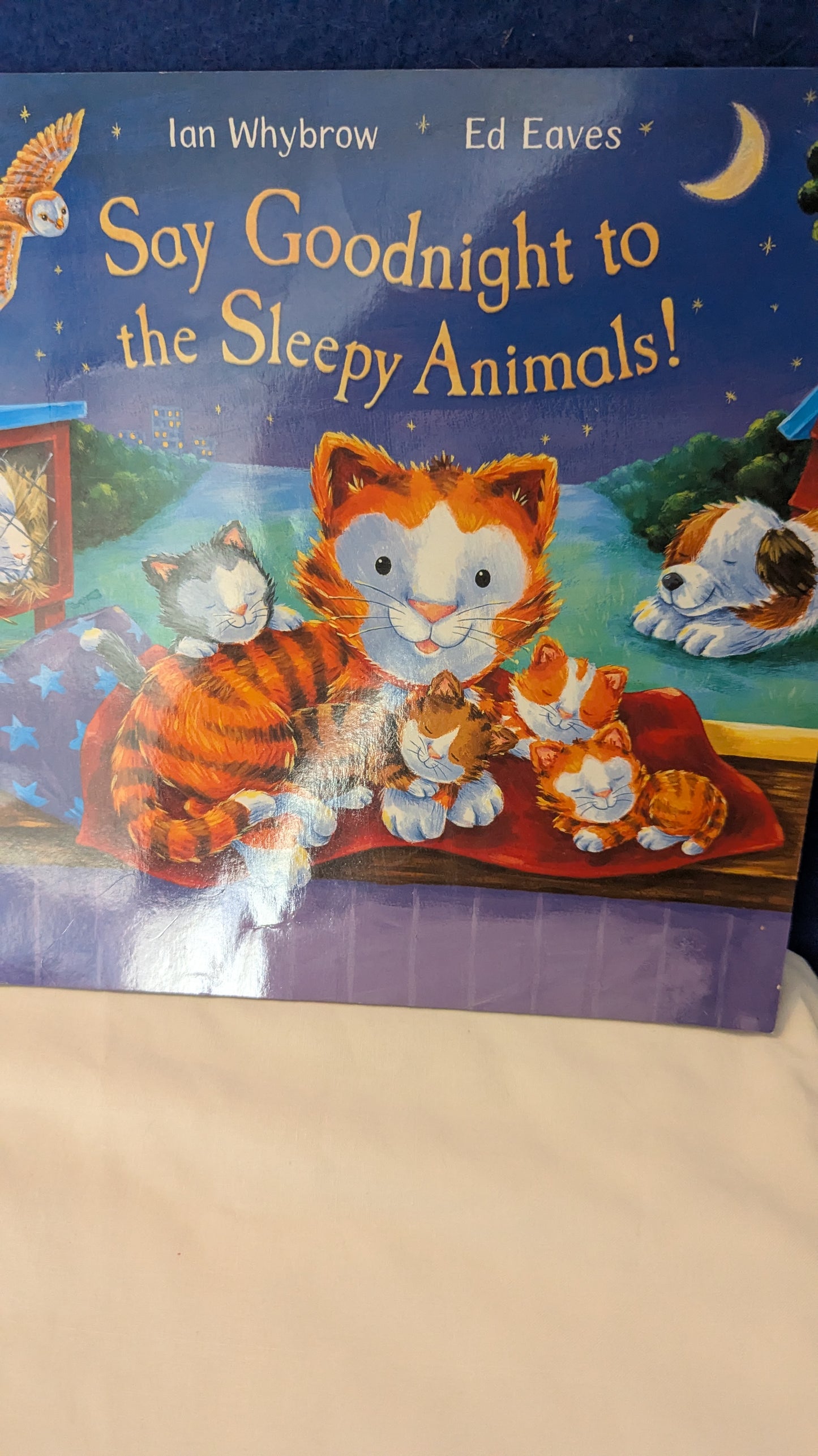 Say Goodnight to the Sleepy Animals - Ian Whybrow