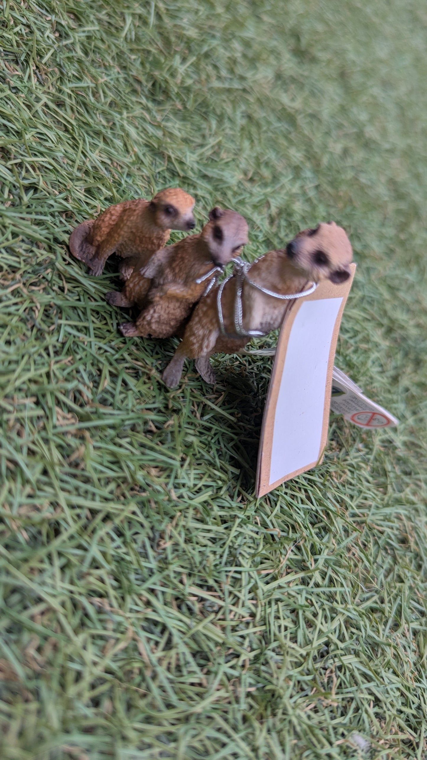 Small Meerkat Family Figurines