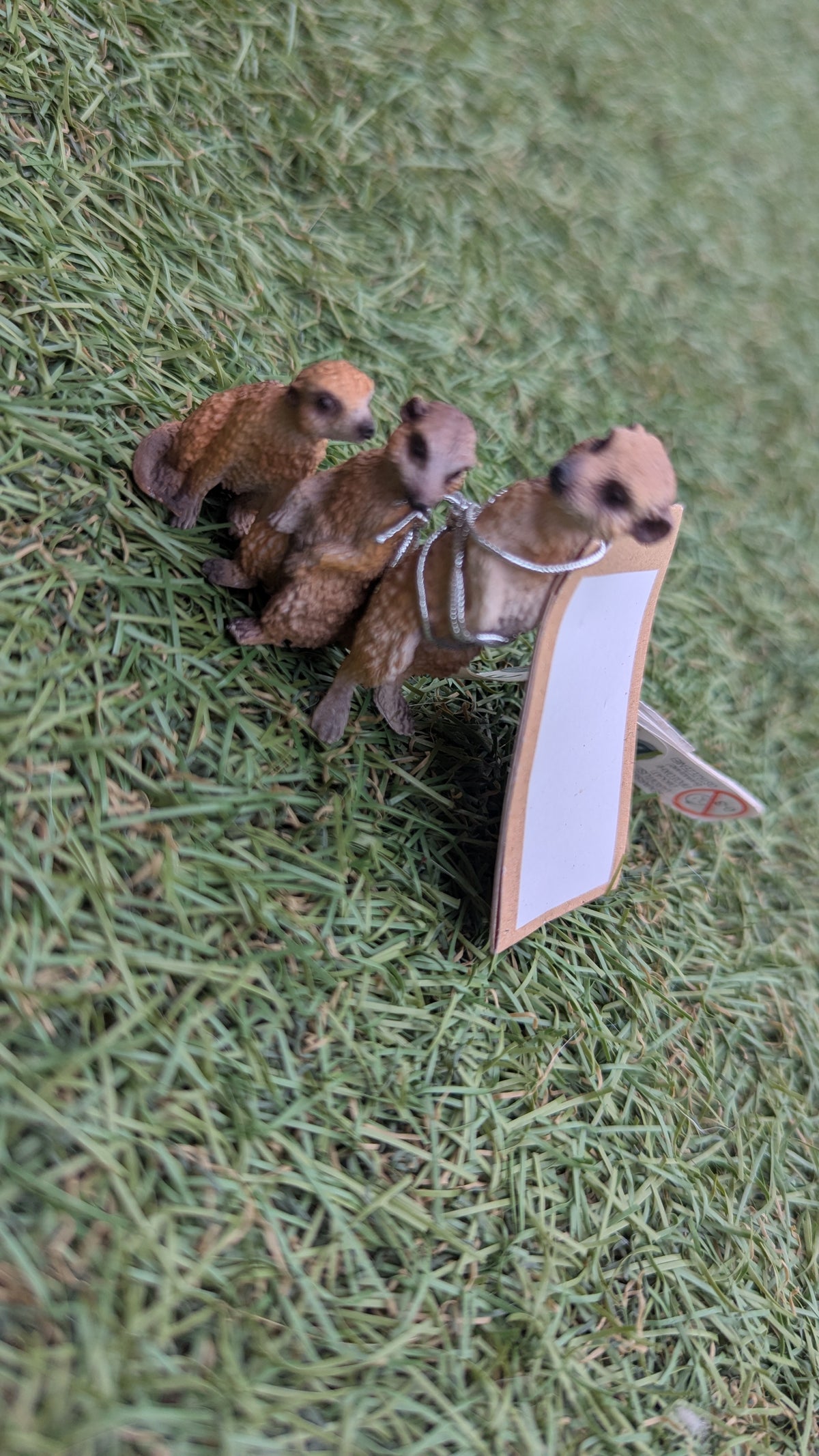 Small Meerkat Family Figurines