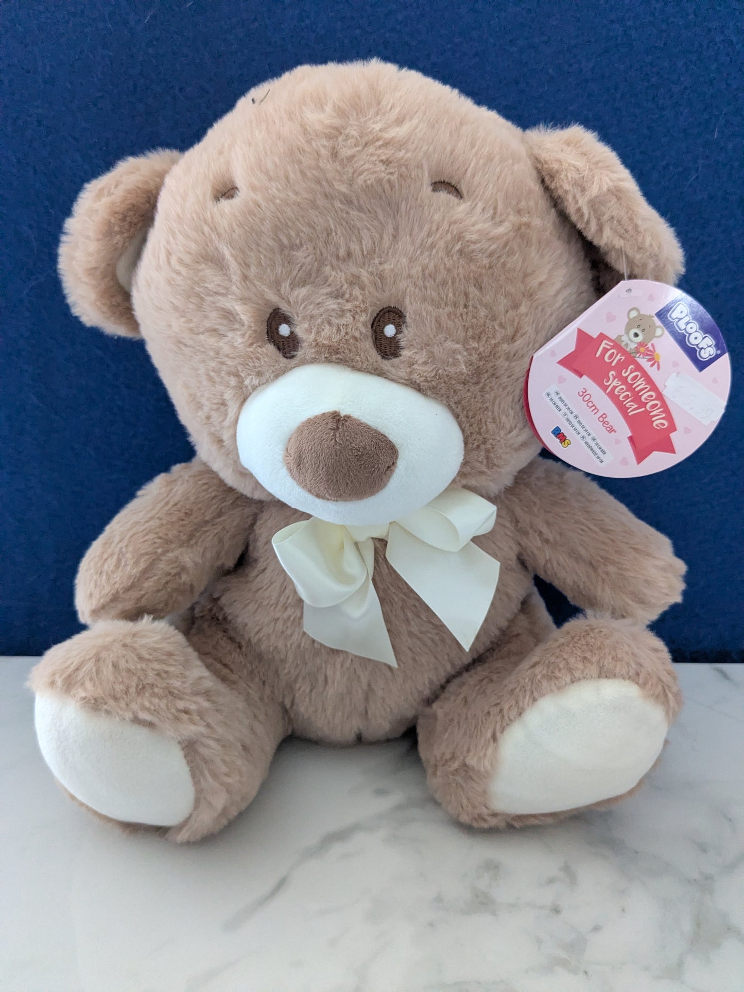 Ploofs 'For Someone Special' 30cm Bear