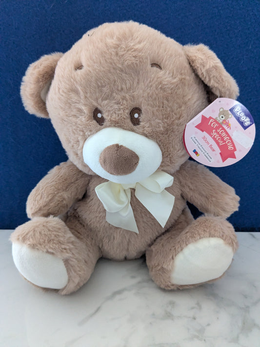 Ploofs 'For Someone Special' 30cm Bear