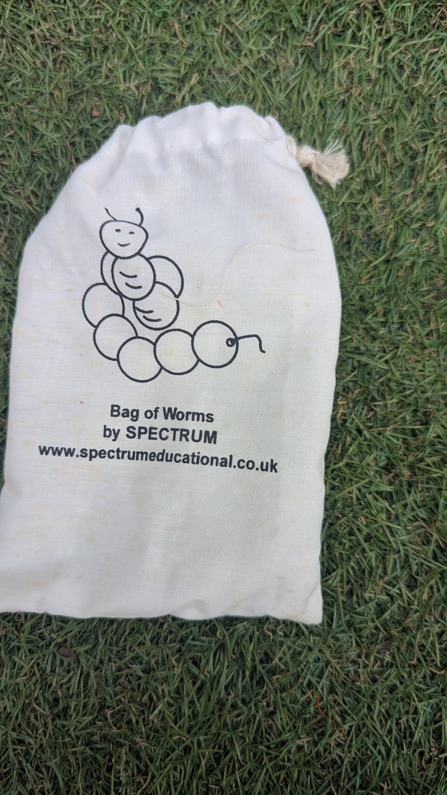 Educational Wooden Counting Worms