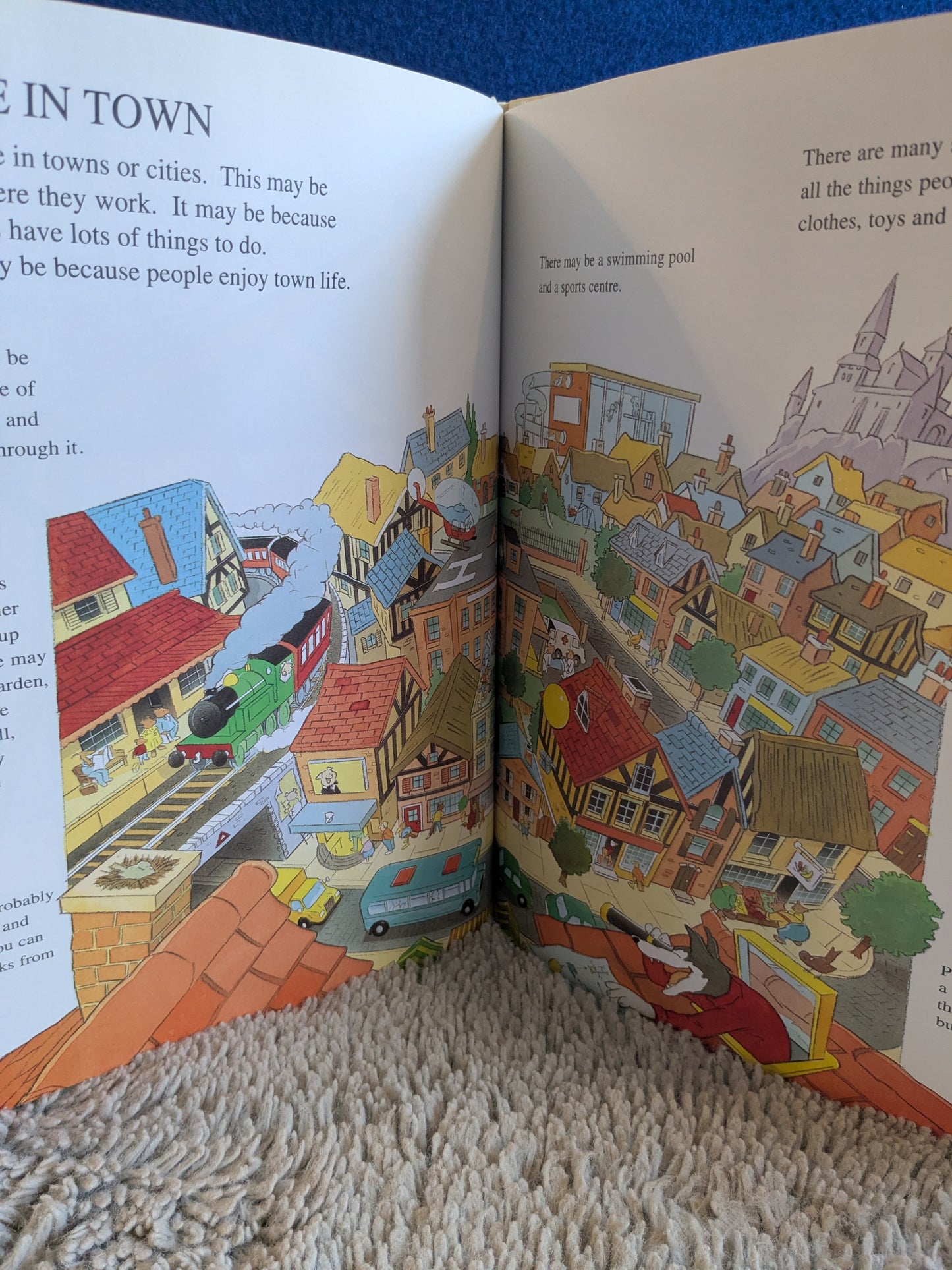 The BFC Young Book of Homes - Sally Grindley c.1995 First Edition