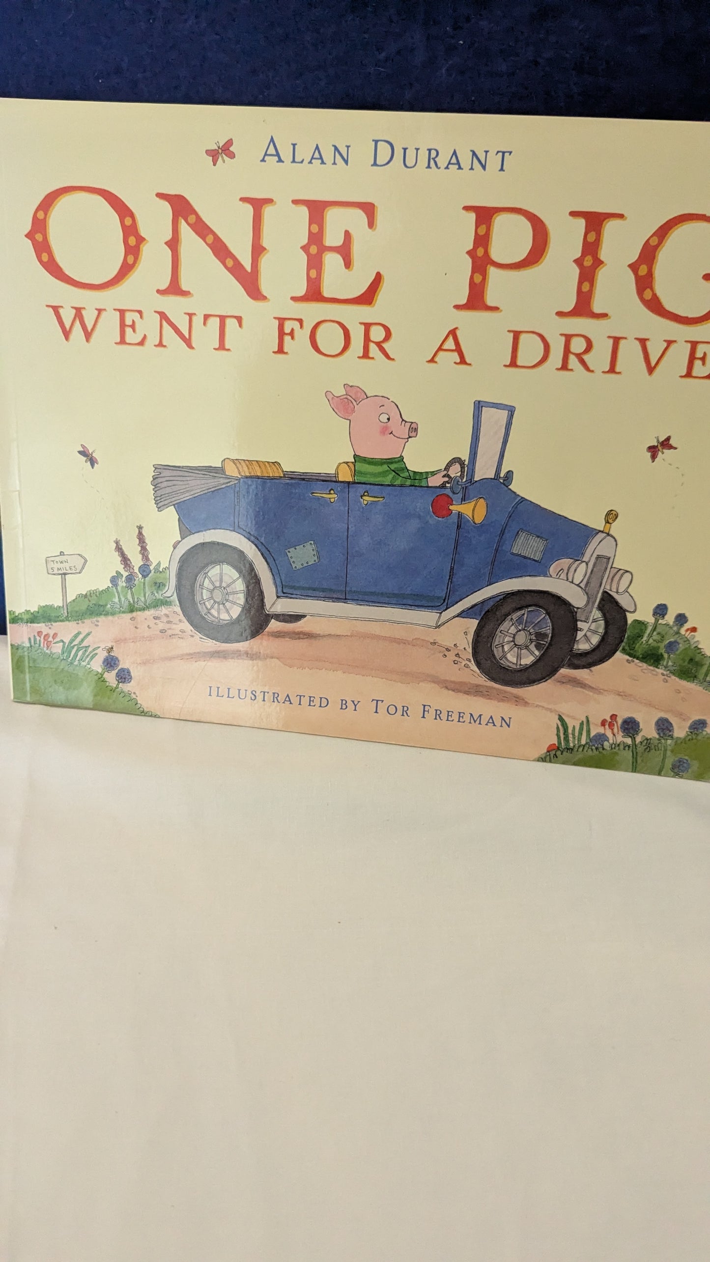 One Pig Went for a Drive - Alan Durant