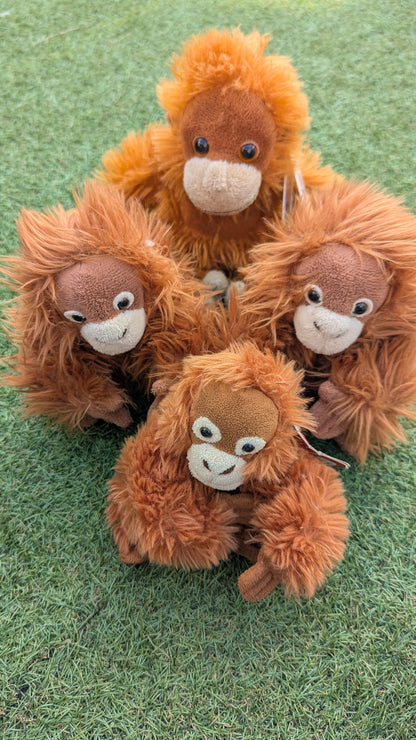 Orangutan Plush Bundle
