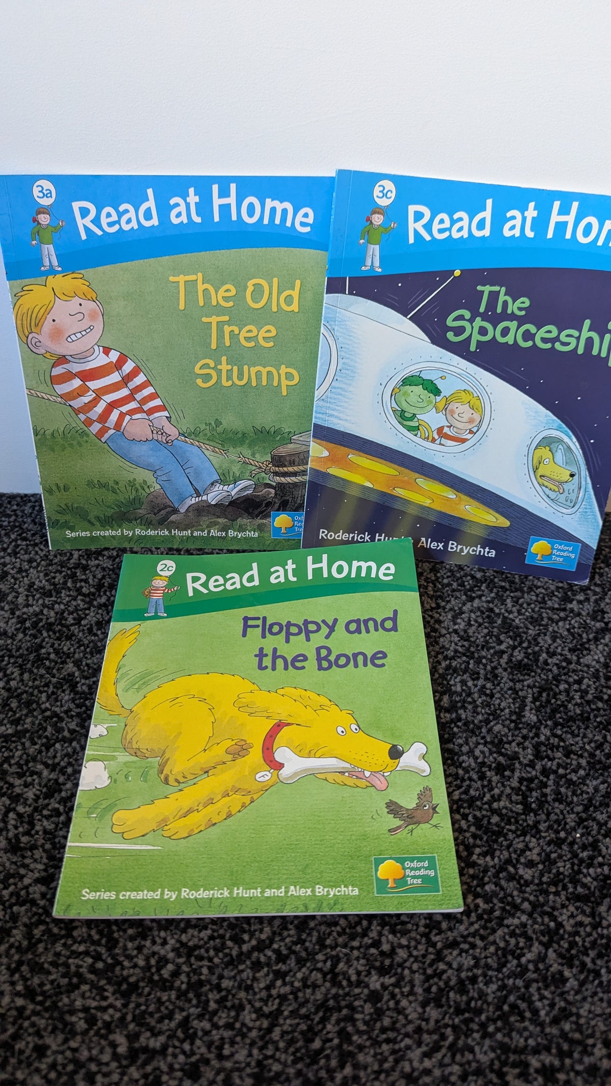 Read at Home: Biff , Chip & Kipper Books x3
