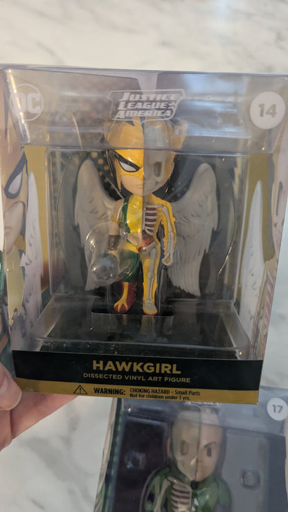XXRay 14 DC Justice League America: Hawkgirl