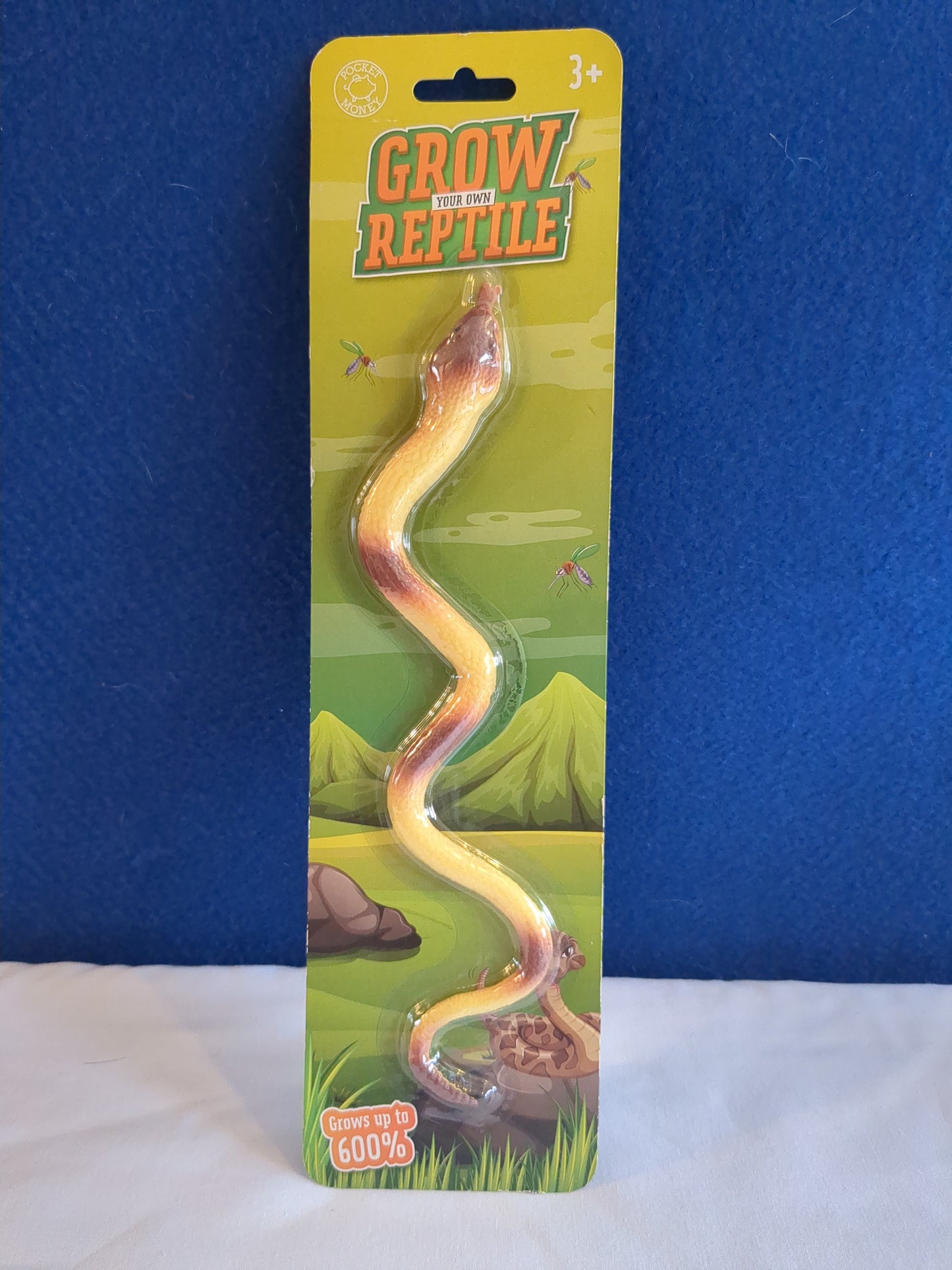Grow Your Own Reptile - Snake