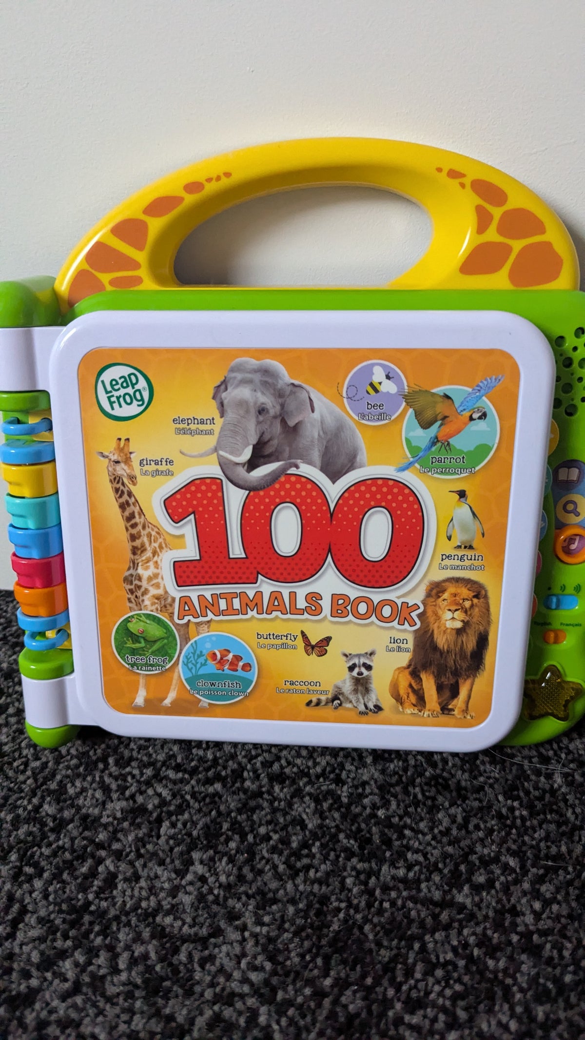 100 Animals Electronic Book