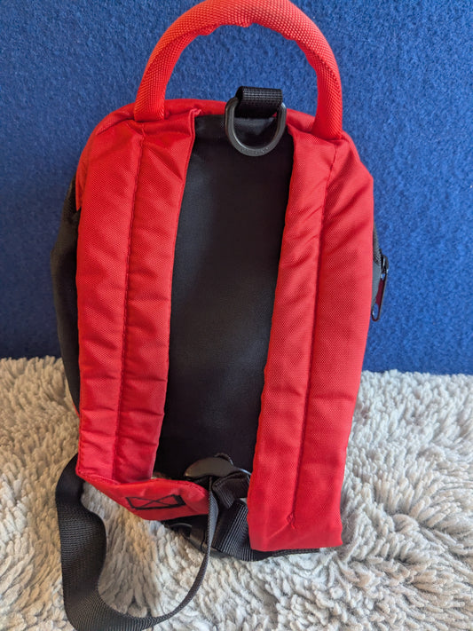 LittleLife Big Ladybird Kids Backpack