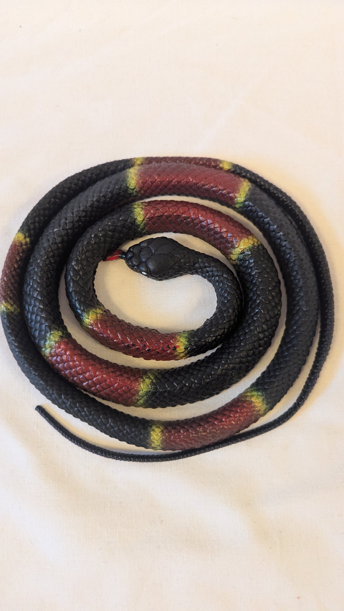Rubber Snake