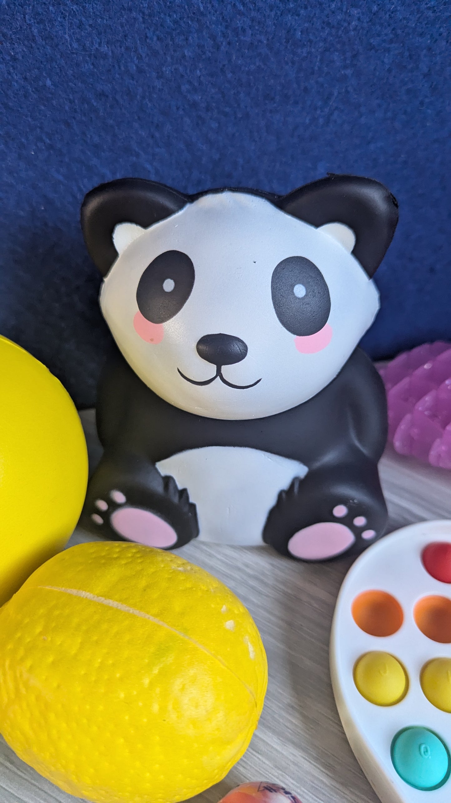 Sensory Toy Bundle