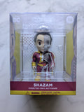 XXRay 15 DC Justice League America: Shazam