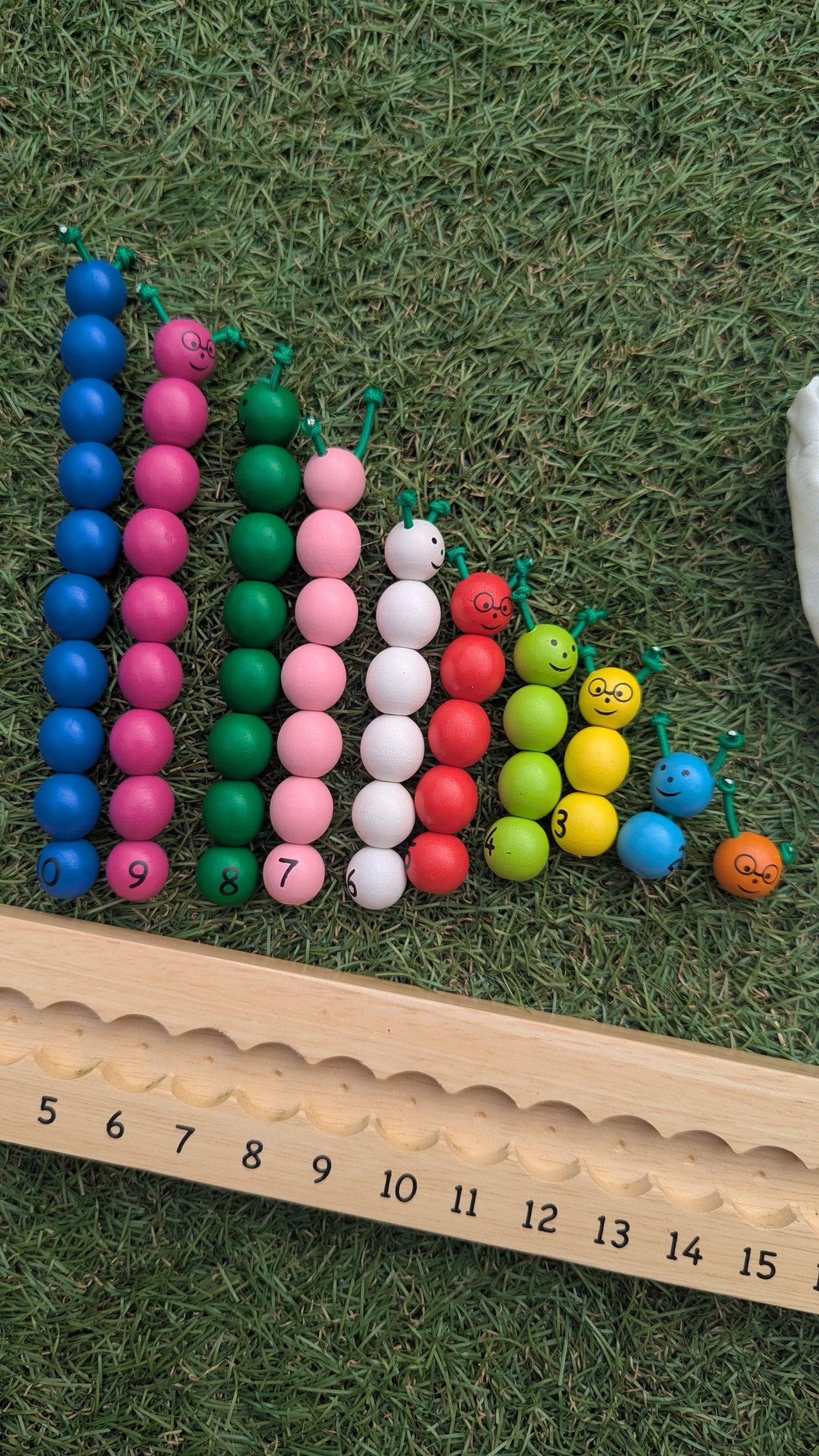 Educational Wooden Counting Worms