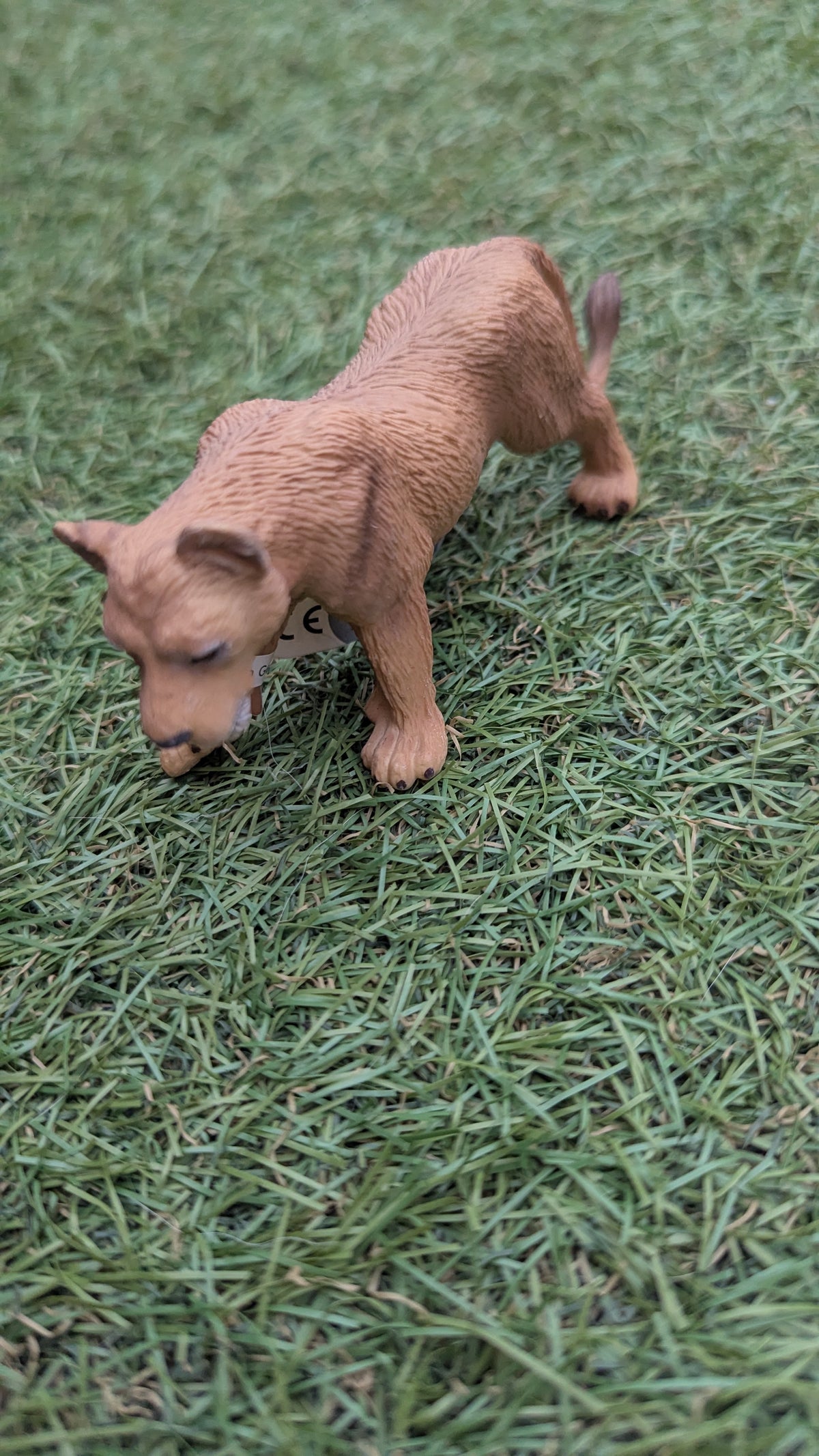 Medium Lioness Figurines