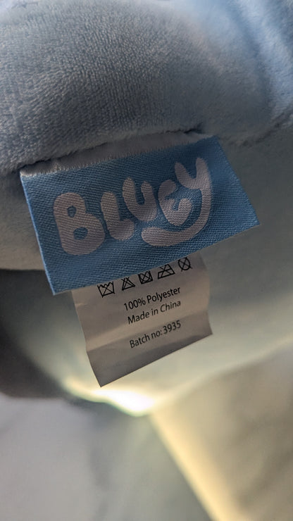 Bluey Character 3D Cushion
