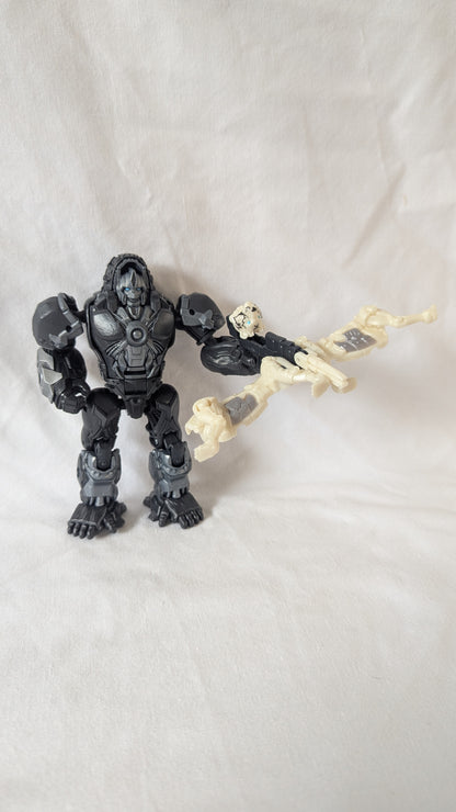 Transformers Rise of the Beasts Optimus Primal & Arrow Stripe Beast Alliance
