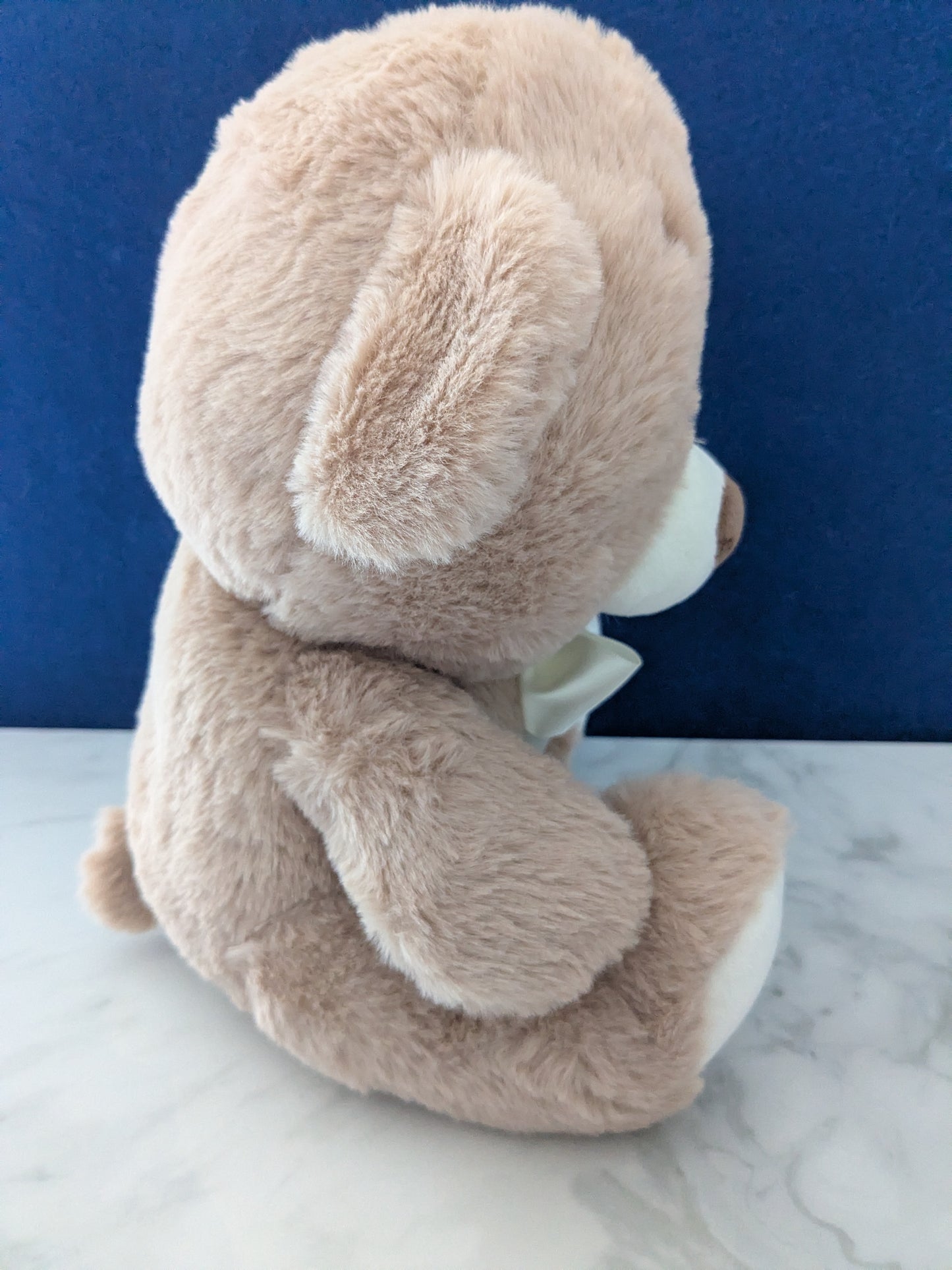 Ploofs 'For Someone Special' 30cm Bear