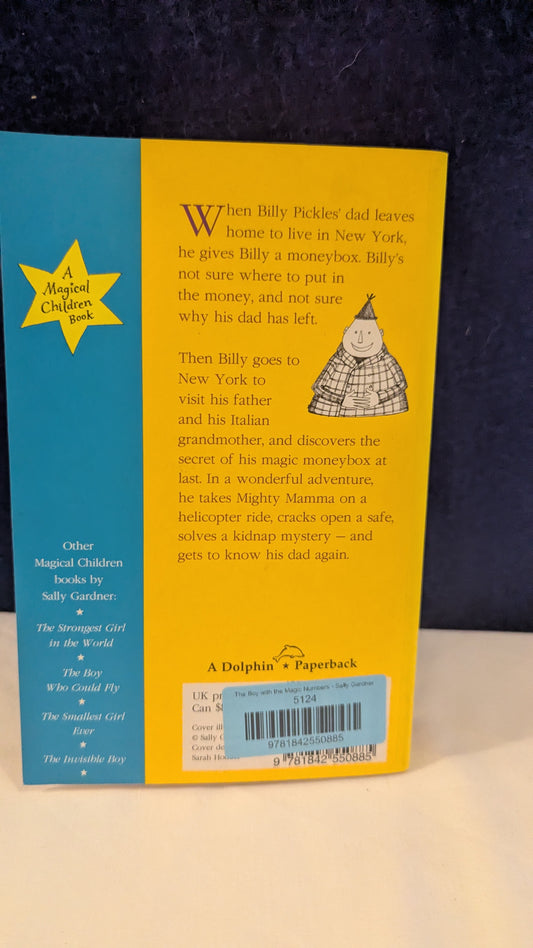 The Boy with the Magic Numbers - Sally Gardner
