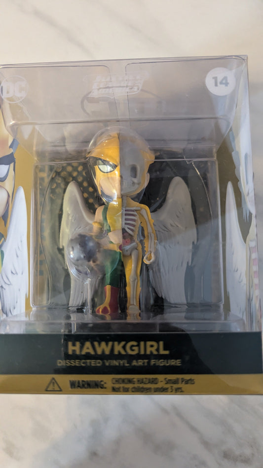XXRay 14 DC Justice League America: Hawkgirl